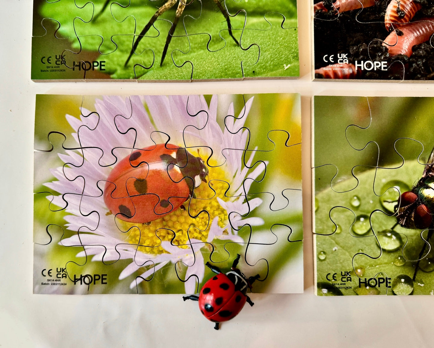 Mini Beasts Puzzles Pack of 12