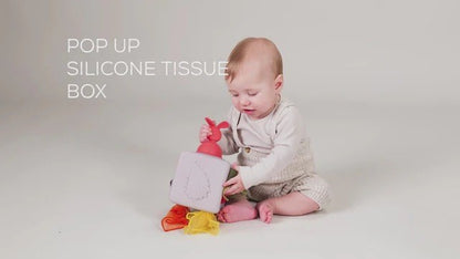 Taf Toys Pop-up Tissue Box
