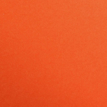 A4 White Card 160Gsm Pack Of 40 - ABC School Supplies
