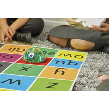 Earl Sequencing Cards