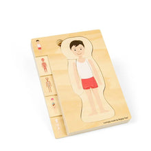 Male Human Anatomy Puzzle