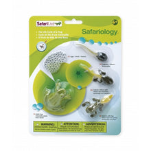 Safari Life Cycle of a Frog
