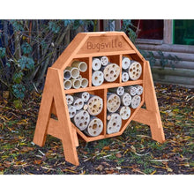 Cosy Bugsville Hive