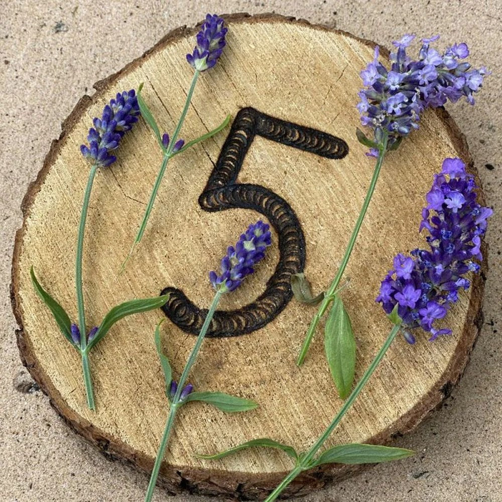 Cosy Number Stepping Stones 0-10