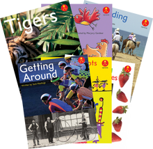 **Alphakids Plus Transitional Level 13 - ABC School Supplies