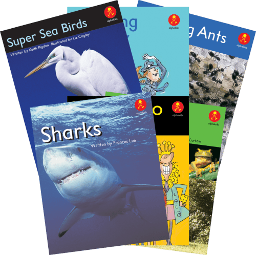 **Alphakids Plus Transitional Level 17 - ABC School Supplies