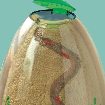 **Ant Mountain - ABC School Supplies
