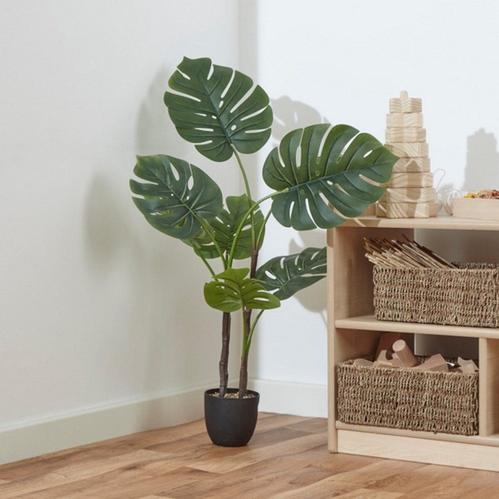 Artificial Cheese Plant 90Classmates - ABC School Supplies