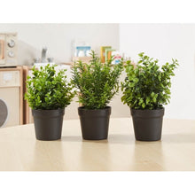 Artificial Potted Plants Pack Of 3 - ABC School Supplies