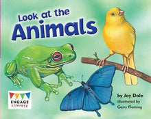 **Big Cat L2 Look At The Animals Engage Pink L2 - ABC School Supplies