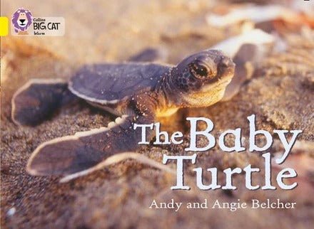 **Big Cat Yellow Baby Turtle Non Fiction - ABC School Supplies