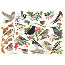 Birds In My Garden - 1000 Piece Jigsaw Puzzle - ABC School Supplies
