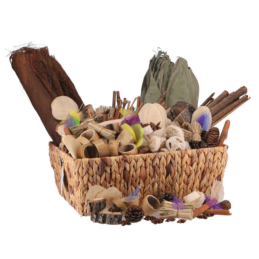 Botanical Treasure Basket - ABC School Supplies