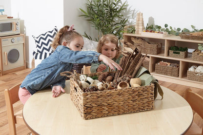 Botanical Treasure Basket - ABC School Supplies