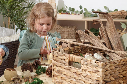 Botanical Treasure Basket - ABC School Supplies