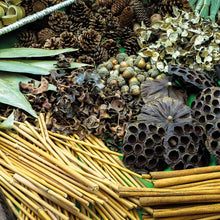 Botanical Treasure Basket Pack - ABC School Supplies