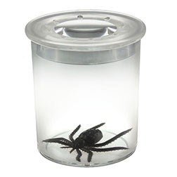 Bug Viewer Standard - ABC School Supplies