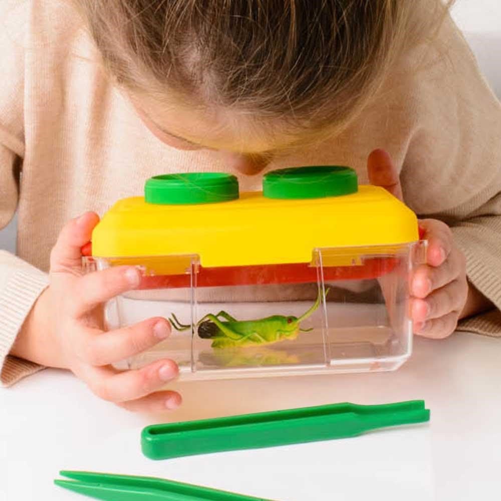 **Bugnoculars - ABC School Supplies