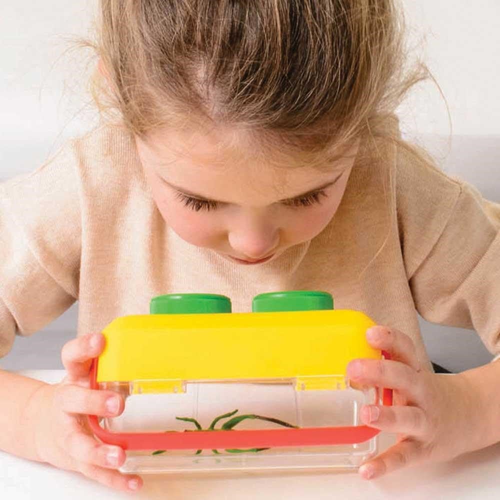 **Bugnoculars - ABC School Supplies