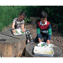 Collecting Tray 355X240X20Mm - ABC School Supplies