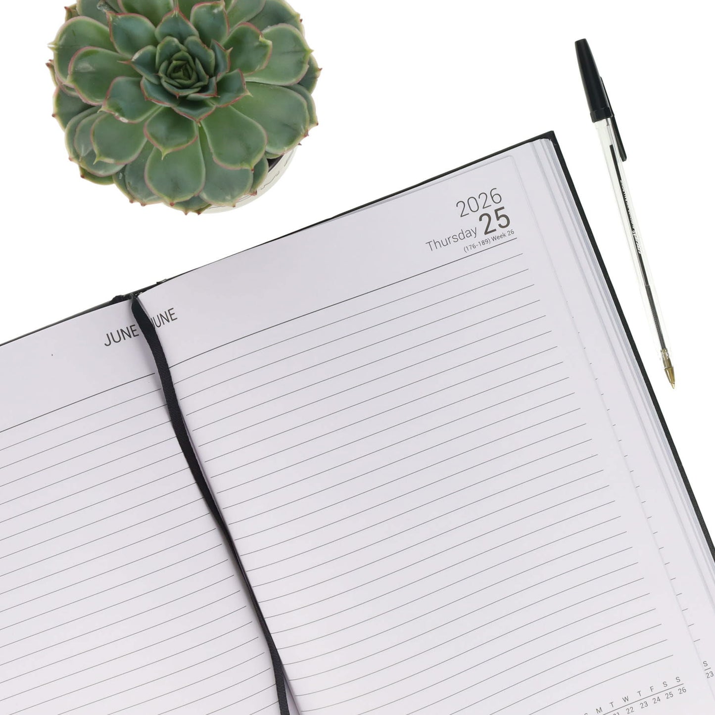 Concept A4 2026 Page A Day Desk Diary - Navy - ABC School Supplies
