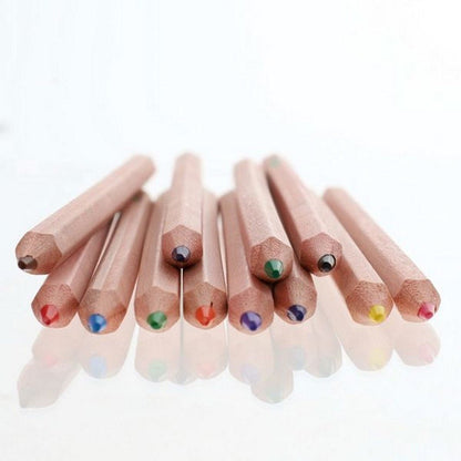 Concept Green Colouring Pencils Pack of 12 - ABC School Supplies