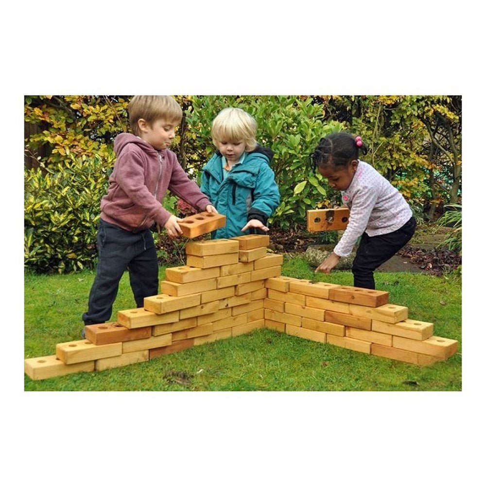 Cosy Lewiss Lightweight Softwood Bricks Pack Of 60 - ABC School Supplies