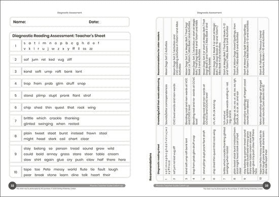 Dandelion Catch - up Readers Teacher Guide - ABC School Supplies