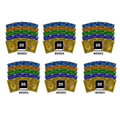 Dandelion Launchers Pack 4 (Sets 11 - 15) 20 Titles - 6 Pack - ABC School Supplies