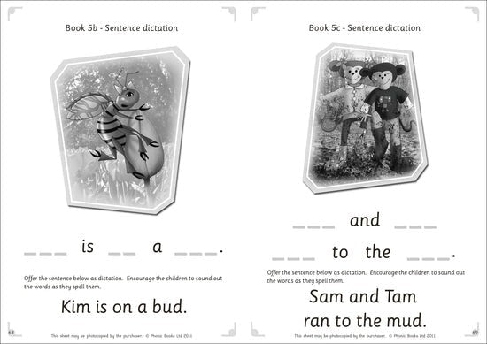 Dandelion Launchers, Reading And Writing Activities Units 4 - 7 - 6 Pack - ABC School Supplies