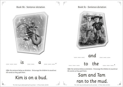 Dandelion Launchers, Reading And Writing Activities Units 4 - 7 - 6 Pack - ABC School Supplies