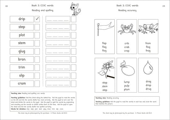 Dandelion Moon Dogs Series, Set 2 Workbook - ABC School Supplies