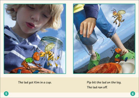 Dandelion Readers, Set 1 Units 1 - 10 (10 Titles) - ABC School Supplies