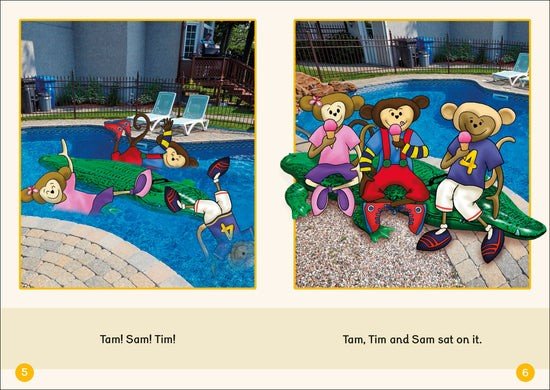 Dandelion Readers Set 4 Units 1 - 10 - ABC School Supplies