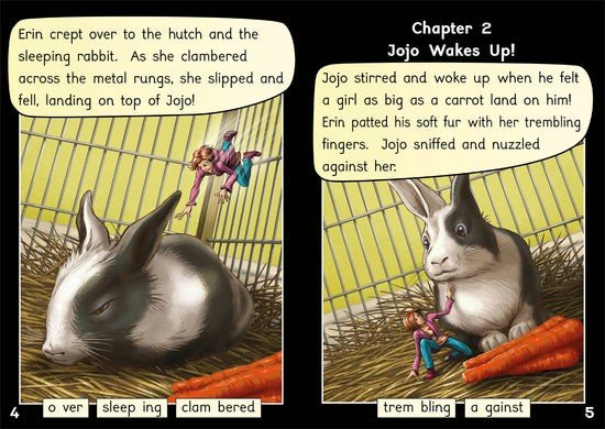 Dandelion Rescue Series, Set 1 (10 Titles) - ABC School Supplies