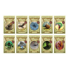 Dandelion Talisman Card Games Boxes 1 - 10 - ABC School Supplies