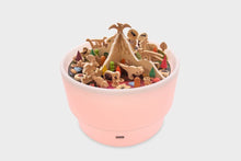 Discovery Jurassic Bundle(Not Includ Sensory Mood Light) - ABC School Supplies