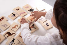 Domestic Animal Family Match - ABC School Supplies