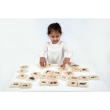 Domestic Animal Family Match - ABC School Supplies