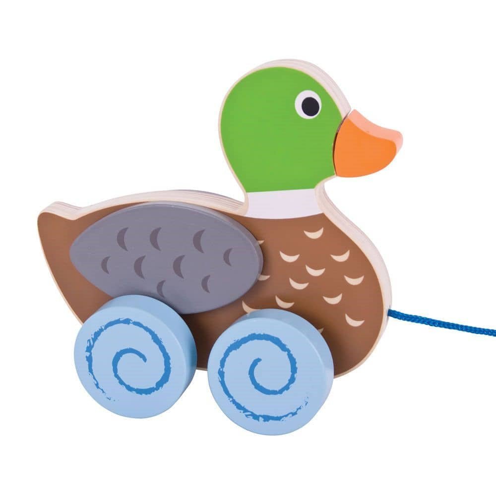 Duck Pull Along - ABC School Supplies