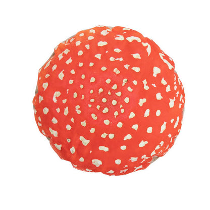 Eden Learning Toadstools (2 Pack, Large) - ABC School Supplies