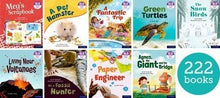 Essential Letters And Sounds: Essential Phonic Readers: Oxford Reading Levels 1 - 7: Review Super Easy Buy Pack - ABC School Supplies