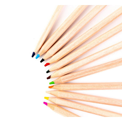 Everyday Assorted Colouring Pencils Pack Of 288 - ABC School Supplies