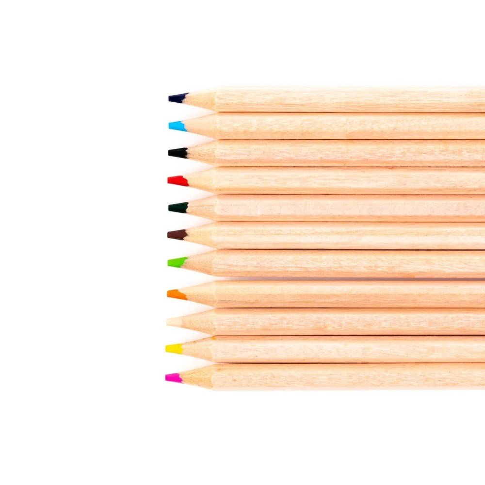 Everyday Colouring Pencils Pack Of 144 - ABC School Supplies