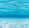 Fadeless Display Rolls 1.2M X 3.7M Under The Sea - ABC School Supplies