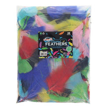 Feathers Assortment 28G Bag - ABC School Supplies