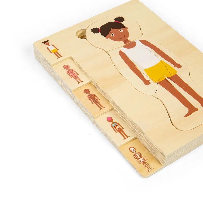 Female Human Anatomy Puzzle - ABC School Supplies