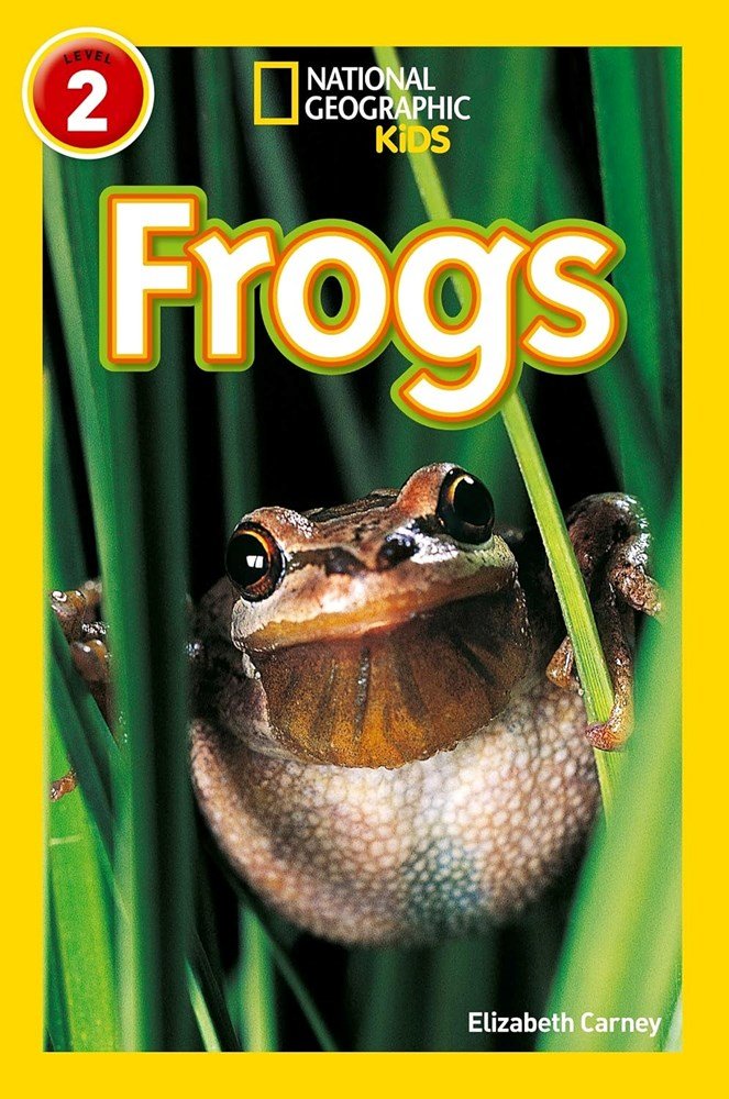  - Frogs - ABC School Supplies