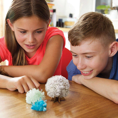 KidzLabs - Crystal Science - ABC School Supplies