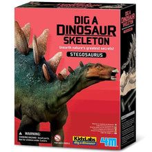 KidzLabs - Dig a Dinosaur Skeleton - Stegosaurus - ABC School Supplies
